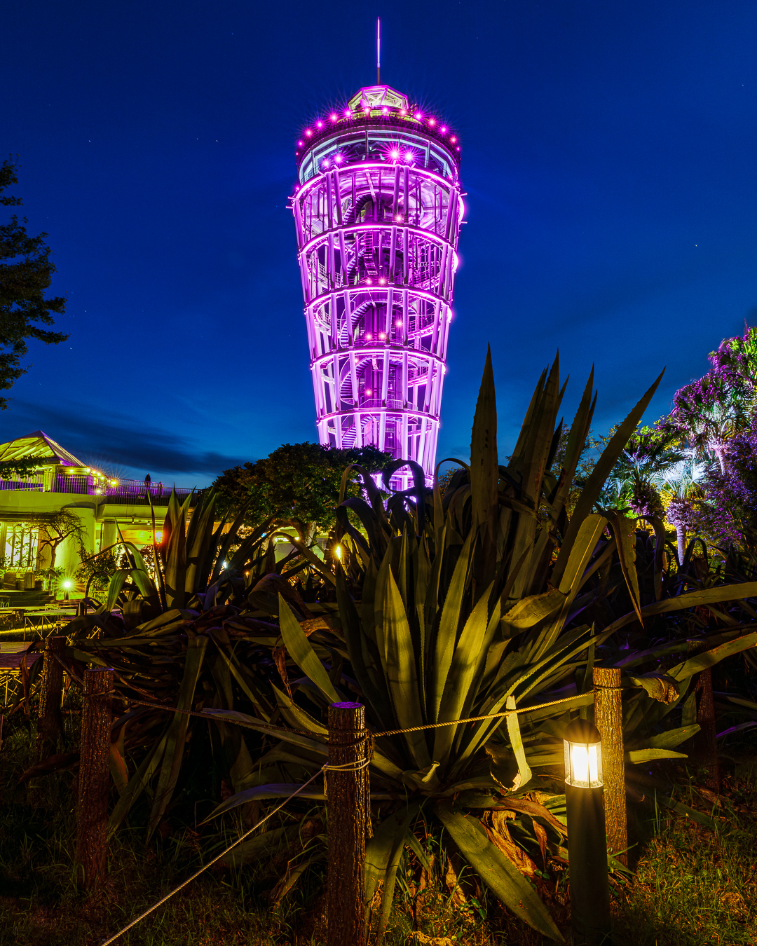 ピンクリボンライトアップ2025 inかながわ フォトコンテスト